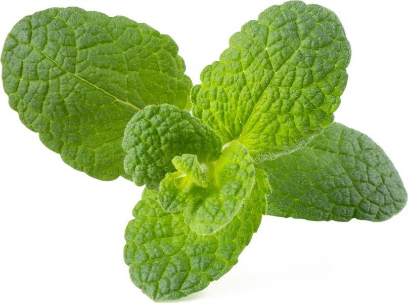 Click And Grow Click & Grow Smart Garden refill Apple Mint 3pcs