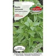 Nasiona i cebule - TORSEED nasiona BAZYLIA CYTRYNOWA 0,1 G - miniaturka - grafika 1