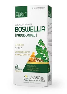 Medica Herbs Medica Herbs Boswellia (Kadzidłowiec) 400 mg - 60 kapsułek - Ochrona stawów - miniaturka - grafika 1