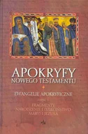 Religia i religioznawstwo - Apokryfy Nowego Testamentu. Ewangelie Apokryficzne. Tom 1/1 - miniaturka - grafika 1