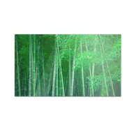 Deski do krojenia - Szklana deska kuchenna HOMEPRINT Zielony las bambusowy 60x52 cm - miniaturka - grafika 1