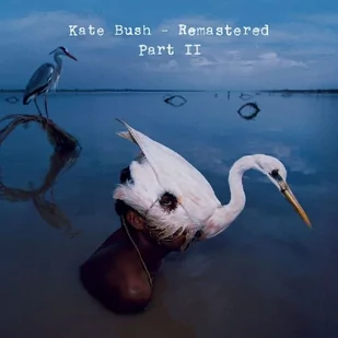 Kate Bush Remastered CD Box 2 11 CD) - Rock - miniaturka - grafika 1