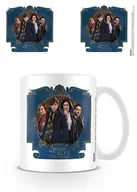 Kubki - Fantastic Beasts Tworzenie fantastycznych Beasts grupa kubek z ceramiki, wielokolorowy MG24262 - miniaturka - grafika 1