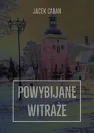 Poezja - Powybijane witraże - miniaturka - grafika 1