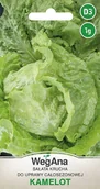 Nasiona i cebule - Sałata Krucha Kamelot 1g nasiona - WegAna - miniaturka - grafika 1