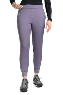 Spodnie aphrodite jogger women-lunar slate - THE NORTH FACE - Spodnie sportowe damskie - miniaturka - grafika 1