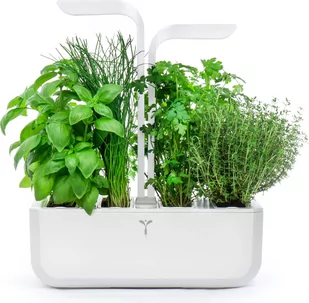 Veritable Veritable Classic VE-0067367 - Systemy inteligentnych domów - miniaturka - grafika 1