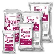 Suplementy i witaminy dla psów - Vetfood BB & Recovery Balance 100g - miniaturka - grafika 1