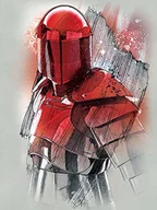 Obrazy i zdjęcia na płótnie - Pyramid Posters Star Wars: The Last Jedi (Elite Guard Brushstroke) - obraz na płótnie 60x80 WDC100199 - miniaturka - grafika 1