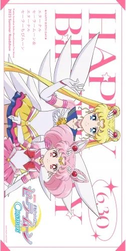 Plakat Anime Bishoujo Senshi Sailor Moon BSSM_138 A3 Custom Manga