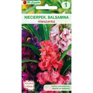 Nasiona i cebule - Niecierpek balsamina mieszanka W.Legutko - miniaturka - grafika 1