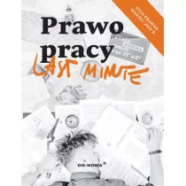 Last Minute Prawo Pracy 2019 Agnieszka Pruska - Prawo - miniaturka - grafika 1