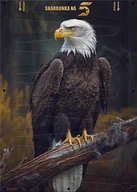 Skarbonki - SKARBONKA NA 5 - XXL ścienna 50x70 cm prezent ORZEŁ - miniaturka - grafika 1