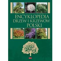 Encyklopedia Drzew I Krzewów Praca zbiorowa - Słowniki języków obcych - miniaturka - grafika 1