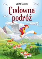 Książki edukacyjne - Cudowna podróż - miniaturka - grafika 1