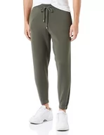 Spodnie męskie - Replay spodnie męskie do biegania, 212 Mud Green, XXL - miniaturka - grafika 1