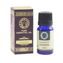 Song Of India Olejek esencjonalny 10 ml - Eucalyptus - Aromaterapia - miniaturka - grafika 1
