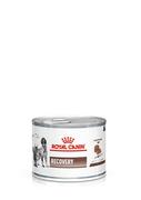 Mokra karma dla psów - Royal Canin 234170 RECOVERY Dog/Cat 195 g 234170 RECOVERY Dog/Cat 195 g - miniaturka - grafika 1