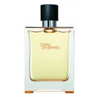 Wody i perfumy męskie - Hermes Terre D'Hermes woda toaletowa spray - 100 ml - miniaturka - grafika 1