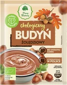 Budyń - Budyń żołędziowy Eko 40g Dary Natury - miniaturka - grafika 1