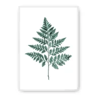 Plakaty - Dekoria Dekoria Plakat Fern Emerald Green 70 x 100 cm Ramka Biała 223F-000-00 - miniaturka - grafika 1