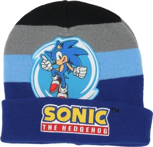 Czapka zimowa Sonic Wygodna i ciepła czapka dla dzieci Niebieski - Czapki dla dzieci - miniaturka - grafika 1