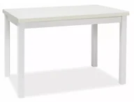 Stoły - STÓŁ ADAM BIAŁY MAT 100140x60 - miniaturka - grafika 1