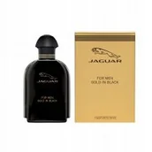 Wody i perfumy męskie - Jaguar Gold in Black woda toaletowa 100ml - miniaturka - grafika 1
