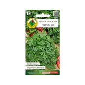Nasiona i cebule - Pietruszka naciowa 'Festival 68' nasiona Pnos - miniaturka - grafika 1