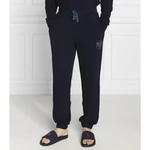 Emporio Armani Spodnie dresowe | Regular Fit - Dresy męskie - miniaturka - grafika 1