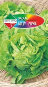 Nasiona i cebule - NASIONA Sałata Głowiasta Masłowa Gruntowa Milly - Elena 1g SPÓJNIA 326390 - miniaturka - grafika 1
