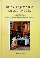 Religia i religioznawstwo - Boża Tajemnica Miłosierdzia - miniaturka - grafika 1