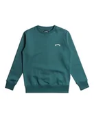 Bluzy dla chłopców - BILLABONG Bluza chłopięca Arch Cr (1 szt.) - miniaturka - grafika 1