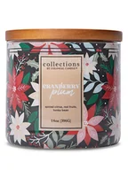 Świece - Colonial Candle Świeca zapachowa "Cranberry Plum" - 396 g - miniaturka - grafika 1