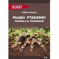 Historia Polski - Gorazdowski Marcin Jan Pająki ptaszniki w terrarium0 - miniaturka - grafika 1