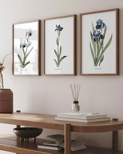 Zestaw trzech plakatów- Irysy - Obrazy i zdjęcia na płótnie Zestaw trzech plakatów- Irysy - Obrazy i zdjęcia na płótnie - miniaturka - grafika 1