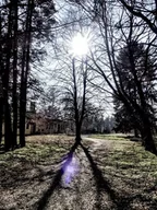 Plakaty - Galeria Plakatu, Plakat, Słońce 2, 61x91,5 cm - miniaturka - grafika 1