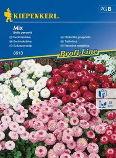 Kiepenkerl Stokrotka pospolita Mix Bellis perennis 102376 - Nasiona i cebule - miniaturka - grafika 1