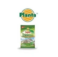 Nasiona i cebule - NASIONA TRAWY SUPER TRAWNIK MOCNA 200g na 8m² - miniaturka - grafika 1