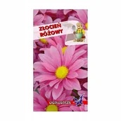 Nasiona i cebule - Złocień różowy 0,4g / O / - miniaturka - grafika 1