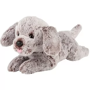 Maskotka SUKI Pies Cocker Spaniel 12142 - Maskotki i pluszaki - miniaturka - grafika 1