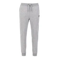 Spodnie sportowe męskie - Spodnie Alpha Industries Basic Jogger SL 11637017 - szare - miniaturka - grafika 1