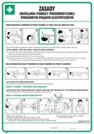Instrukcje stanowiskowe BHP - DD011 ZASADY UDZIELANIA POMOCY PRZEDMEDYCZNEJ PORAŻONYM PRĄDEM ELEKTRYCZNY, FN - FOLIA SAMOPRZYLEPNA; (245X350MM) - miniaturka - grafika 1