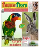 Czasopisma - Fauna i Flora - miniaturka - grafika 1