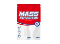 Odżywki na masę - SFD Mass Activator V3, 3000 g - miniaturka - grafika 1