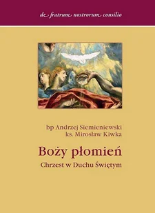 Boży płomień. Chrzest w Duchu Świętym - Religia i religioznawstwo - miniaturka - grafika 1