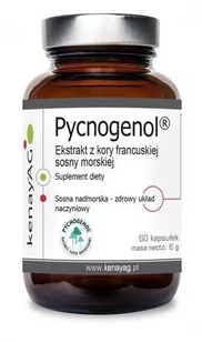 kenayAG Pycnogenol Ekstrakt z kory francuskiej sosny morskiej (60 kapsułek) 8422-4266A - Serce i układ krążenia - miniaturka - grafika 1