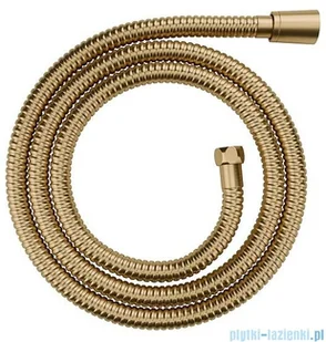 Omnires Y System prysznicowy podtynkowy termostatyczny złoto szczotkowane SYSYT05GLB | - Baterie umywalkowe Omnires Y System prysznicowy podtynkowy termostatyczny złoto szczotkowane SYSYT05GLB | - Baterie umywalkowe - miniaturka - grafika 7