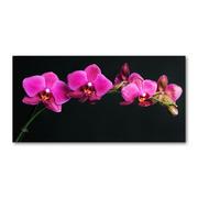 Obrazy i zdjęcia na płótnie - Foto obraz szkło hartowane Orchidea - miniaturka - grafika 1