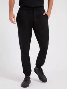 Męskie spodnie dresowe GUESS ALDWIN LONG PANT - Spodnie sportowe męskie - miniaturka - grafika 1